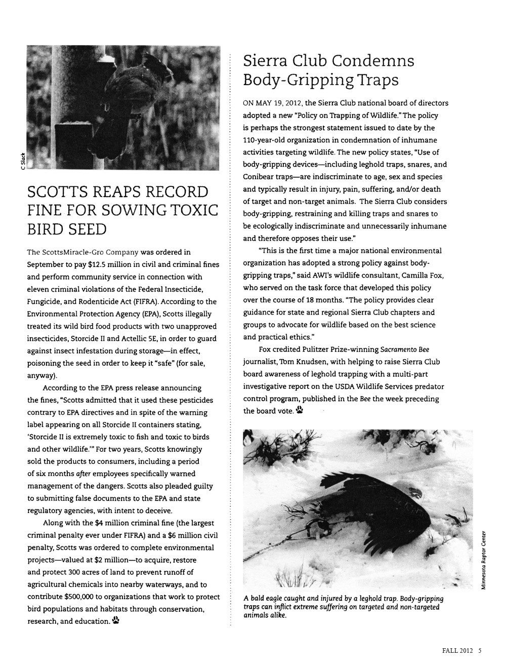 Wildlife Briefly Page 5